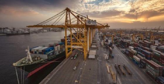 Dp World Cuts Carbon Emissions In The Uae With Renewable Energy